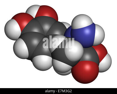 Carbidopa Parkinson médicament. Répartition périphérique empêche de lévodopa, permettant ainsi à plus de la L-DOPA pour atteindre le cerveau. Ar les atomes Banque D'Images