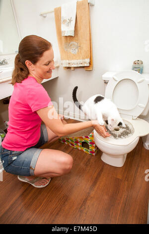 En utilisant des récompenses et de l'encouragement, une femme à Lake Forest, CA, les tentatives de former des toilettes son animal de chat. Remarque Une rampe et toilettes spéciales Banque D'Images