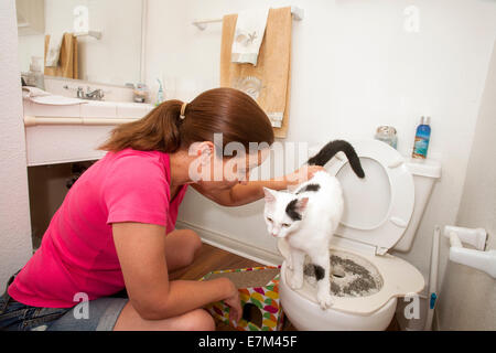 En utilisant des récompenses et de l'encouragement, une femme à Lake Forest, CA, les tentatives de former des toilettes son animal de chat. Remarque Une rampe et toilettes spéciales Banque D'Images