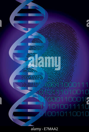 ADN, empreinte digitale et code binaire – identité génétique et biométrie. Illustration numérique symbolisant l’identité génétique, la biométrie et la cybersécurité Banque D'Images
