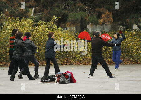 Faire du peuple chinois de tai chi au Parc de la Villette, Cité des sciences et de l'industrie, Paris, France. Banque D'Images