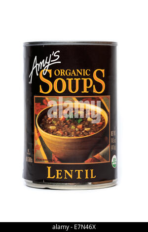 Soupe aux lentilles organiques d'Amy Banque D'Images