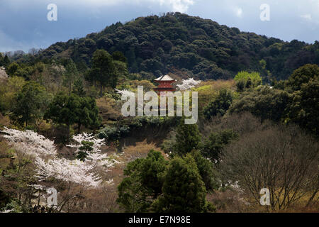 Paysage de collines, de forêts et à proximité de temple Kiyomizu pagode pendant la saison des cerisiers en fleur, Temple Kiyomizu-dera, Kyoto, Japon, Asie Banque D'Images