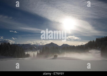 Simmental, look, Jaunpass, Simmental, montagne, montagnes, Winters, canton de Berne, arbre, arbres, le brouillard, la mer de brouillard, Suisse, Eur Banque D'Images