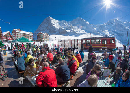 Chemin de fer de la Jungfrau, gare, Kleine Scheidegg, Eiger, Mönch, Jungfrau, Moine, montagne, montagnes, ski, ski, Carving, w Banque D'Images