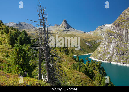 La vallée de Vals, GR, Grisons, Grisons, Zervreilahorn, lac Zervreila, arbre, arbres, montagnes, lac, montagne, lacs, canton, GR, Banque D'Images