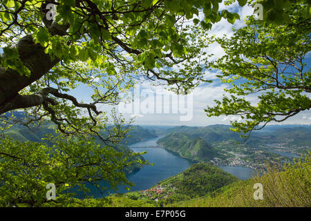 Le lac de Lugano, l'apparence, le Monte Boglia, canton du Tessin, en Suisse méridionale, lac, lacs, Lugano, BRE, Suisse, Europe, Banque D'Images