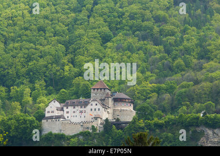 Château, Vaduz, FL, principauté, Lichtenstein, Suisse, Europe, Banque D'Images