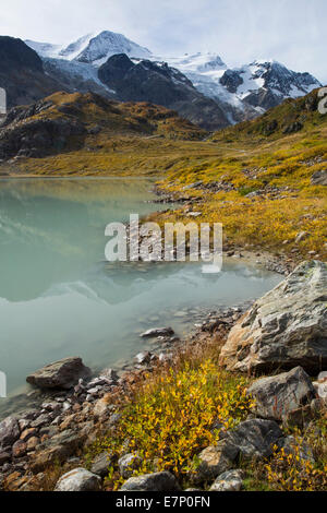 Stein, lac, centre equestre Cavalcade, Tierberg Gwächtenhorn, Susten Pass, nuages, nuage, montagne, Montagnes, Lac de montagne, glacier, glace, mora Banque D'Images