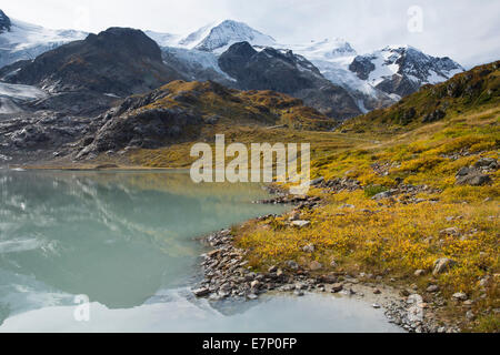 Stein, lac, centre equestre Cavalcade, Tierberg Gwächtenhorn, Susten Pass, nuages, nuage, montagne, Montagnes, Lac de montagne, glacier, glace, mora Banque D'Images