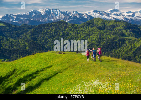 Hautes terres de Zurich, balades, randonnées, Hörnli, Alpes, montagne, montagnes, groupe, sentier, groupe, les femmes dans le canton de Zurich, Suisse, E Banque D'Images