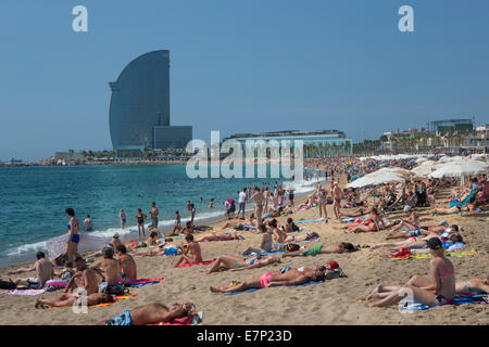 Barcelone, ville, Barceloneta, plage, Catalogne, hotel, paysage, l'Espagne, l'Europe, l'été, le bain de soleil, touristique, voyage, vela Banque D'Images