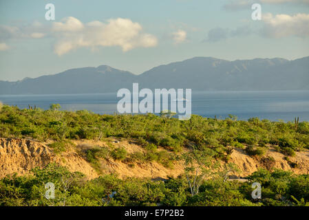 Le Mexique, l'Amérique du Nord, Baja, Baja California, La Ventana, Isla Cerralvo, Mer de Cortez, Mer, désert, paysage Banque D'Images