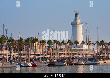 Paseo de la Farola malaga andalousie espagne Banque D'Images