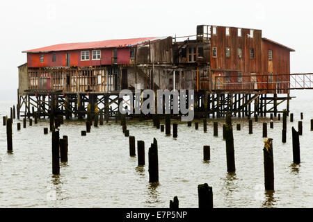 Big Red, l'emblématique séchage net loft, dans la rivière Columbia, près de Astoria, Oregon, 2012, avant les rénovations. Banque D'Images