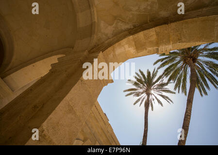 L'Espagne, Almeria, palmiers en face de la cathédrale de Almeria Banque D'Images