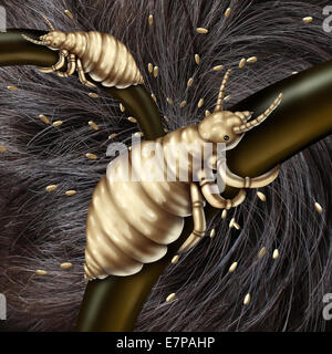 Problème de cheveux poux dans comme un concept médical avec une macro close up d'une tête humaine avec une infestation parasitaire de l'éclosion des oeufs ou lentes à partir d'un insecte poux comme un symbole de l'infection et du traitement. Banque D'Images