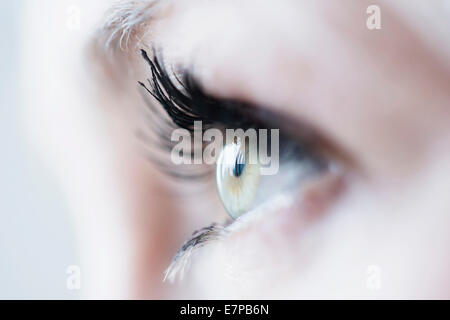 Close-up of woman's eye Banque D'Images