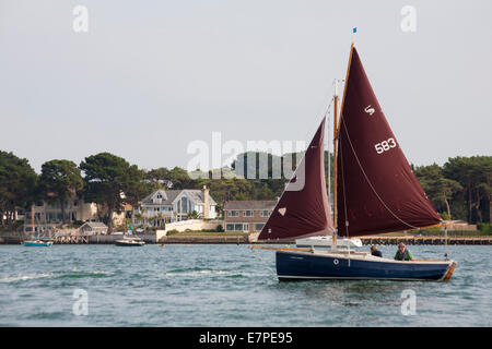 D'âge mûr voile Cornish Shrimper bateau dans le port de Poole avec propriétés coûteuses sur la péninsule de Sandbanks à distance Banque D'Images