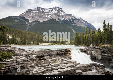 La rivière Athabasca Falls, promenade des Glaciers, Jasper National Park, Alberta, Canada, Amérique du Nord. Banque D'Images