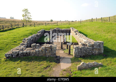 Aperçu de l'Mithraeum près de mur d'Hadrien. Le temple était dédié au dieu Mithra et a été populaire auprès des soldats romains. Banque D'Images