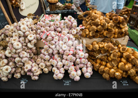 En vente à l'ail 2014 Ludlow Food Festival, vendredi 12 septembre. Banque D'Images