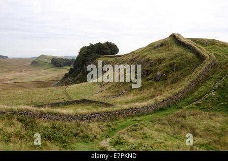 Mur d'Hadrien et Cawfields Milecastle à numéro 42. Banque D'Images