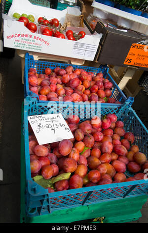 Les prunes victoria en vente sur un marché Ludlow, Shropshire, Angleterre. Banque D'Images