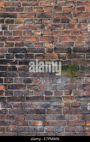 Mur de brique industrielle meilleure texture de fond fermer Banque D'Images