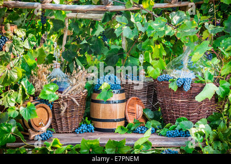 Vendanges dans un village de style ancien Banque D'Images