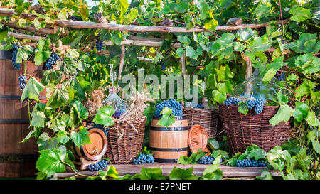 Vendanges dans un village de style ancien Banque D'Images