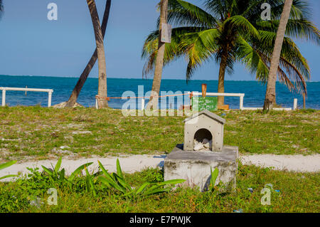 Cimetière à Caye Caulker Belize Banque D'Images