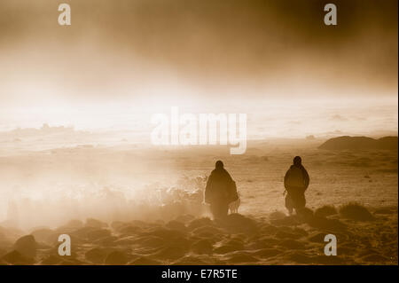 Troupeau de pâturage nomade Changpa à Puga, Changthang au Ladakh Inde, Pashmina Banque D'Images
