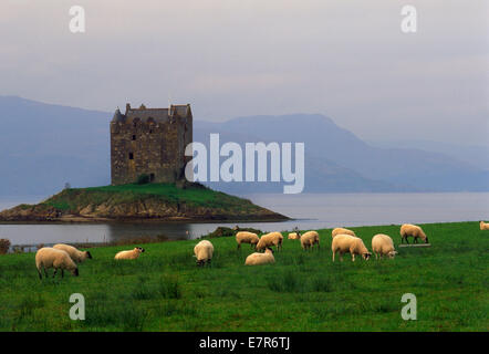 Château de Stalker dans l'Argyllshire près de Glencoe sur le Loch Linnhe, le long de côte ouest de l'Ecosse Banque D'Images