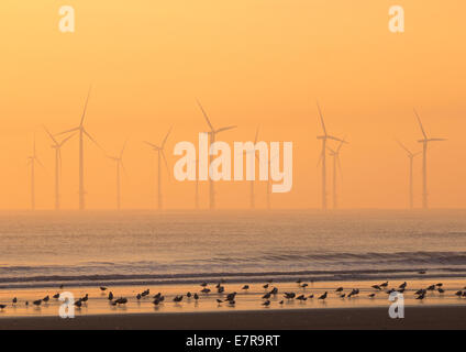 Parc éolien en mer de Teesside sur la côte nord-est au lever du soleil. L'Angleterre. UK Banque D'Images