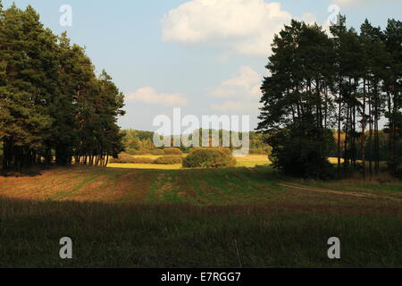 Vu landscace pastorale à partir d'une vue panoramique dans le nord du Brandebourg Banque D'Images