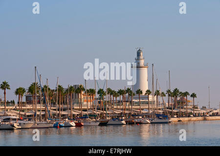 Paseo de la Farola malaga andalousie espagne Banque D'Images