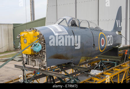 RNAS Culdrose, Cornwall, UK. Sep 23, 2014. L'historique Royal Navy Sea Fury T20 G-RNHF (VX281) qui a subi une panne de moteur lors d'une manœuvre d'affichage au RNAS Culdrose Journée de l'Air le 31 juillet 2014, ce qui oblige le pilote à prendre rapidement des mesures et faire un atterrissage d'urgence, seront transportées d'RNAS Culdrose, Cornwall à Weald Aviation Services, North Weald Airfield à Epping, Essex, le 24 septembre 2014 pour l'évaluation et de la réparation intégrale. Credit : Bob Sharples/Alamy Live News Banque D'Images