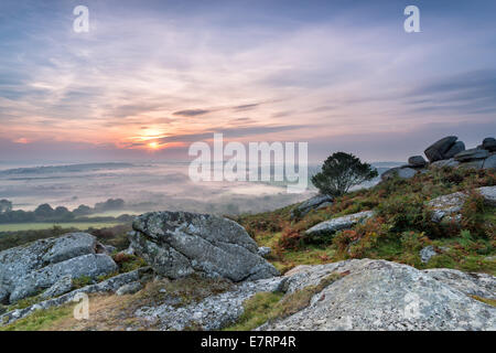 Les brouillards d'automne que le soleil se lève sur la campagne des Cornouailles, à partir d'Helman Tor près de Bodmin. Banque D'Images