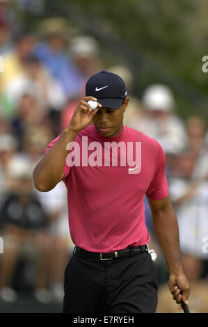 Oakmont, Pennsylvanie, USA. 17 Juin, 2007. Tiger Woods en action au cours de l'US Open à Oakmont Country Club le 17 juin 2007 à Oakmont, Pa.ZUMA Press/Scott A. Miller. © Scott A. Miller/ZUMA/ZUMAPRESS.com/Alamy fil Live News Banque D'Images
