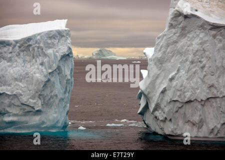 Un Cercle Polaire voile à partir de MS FRAM transporte des passagers pour de plus près dans la baie de Melville icebergs massive, Groenland Banque D'Images