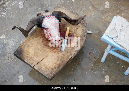 Le crâne d'un ram sacrificielle qui était rituellement tués au cours de la fête islamique du Sacrifice, à Gaziantep, Turquie. Banque D'Images