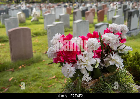 Les pierres tombales sur un cimetière à l'automne avec des fleurs en premier plan Banque D'Images