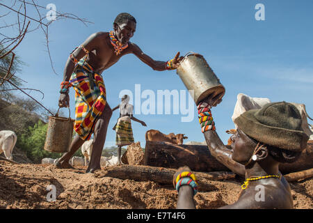 Les éleveurs Samburu tend leurs troupeaux dans le nord du Kenya. Tous les matins pendant la saison sèche, les guerriers Samburu apportent leurs anim Banque D'Images