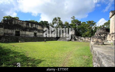 Cour entourée de ruines dans la ville abandonnée de Tikal, un parc national populaire au Guatemala. Banque D'Images