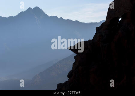 Étranges érosions, Calanche, Les Yeu, Corse-du-Sud, Corse, France Banque D'Images