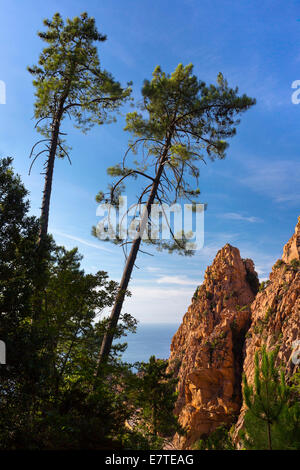 Étranges érosions, Calanche, Les Yeu, Corse-du-Sud, Corse, France Banque D'Images