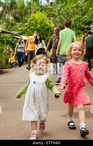 Une fillette de deux ans 2 / enfant / bébé / enfant et ses quatre 4 ans soeur de marche / jouer à l'intérieur de l'Eden Project biomes. UK. Banque D'Images