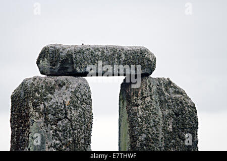 Stonehenge - Linteau sur cercle intérieur Pierres Banque D'Images