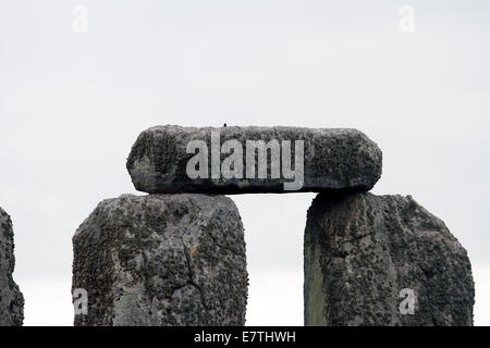 Stonehenge - Linteau sur cercle intérieur Pierres Banque D'Images